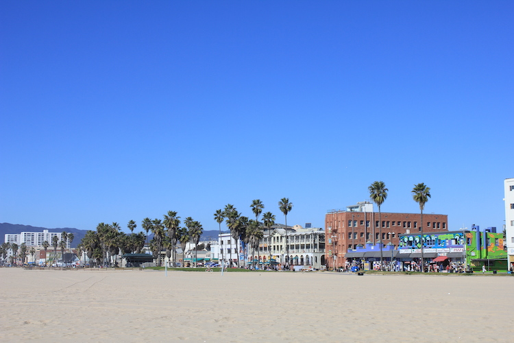 Venice Beach 3